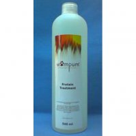 Protein Treatment Rinse out 500 ml Wampum